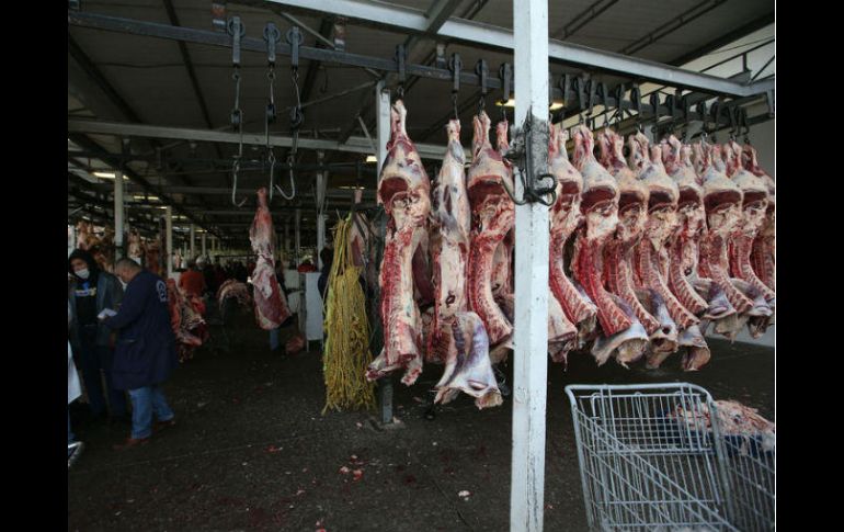 Se dictó la clausura parcial temporal por existir riesgo inminente de desequilibrio ecológico. EL INFORMADOR / ARCHIVO