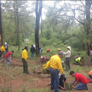 La Semadet inicia reforestación 2017 en Atemajac de Brizuela