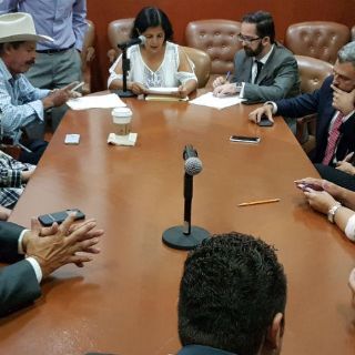 Detalles frenan extinción de Sistecozome