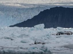Especialistas mencionan que es necesaria una mirada global y conjunta sobre las interacciones entre océano, hielo, atmósfera y vida. ESPECIAL / ScienceAtNASA