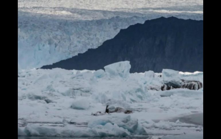 Especialistas mencionan que es necesaria una mirada global y conjunta sobre las interacciones entre océano, hielo, atmósfera y vida. ESPECIAL / ScienceAtNASA