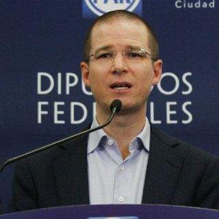 Respalda PAN decisión de Yunes de participar en caso Duarte