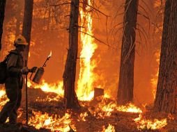 Los bomberos han podido mantener el fuego alejado de la ciudad ; el siniestro estaba contenido en un 15 por ciento. NTX / ARCHIVO
