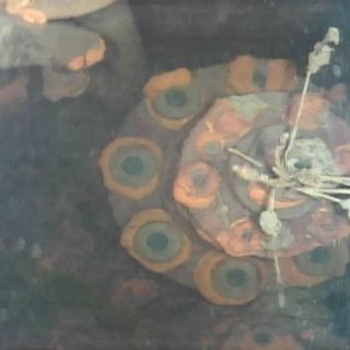 Robot acuático capta posible combustible fundido en el reactor 3 de Fukushima