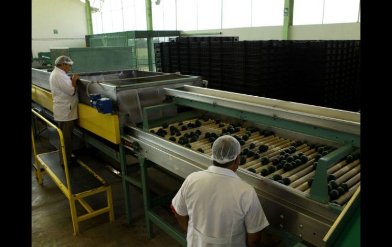 No reportan ningún cambio negativo o noticias sobre algún cierre a productos en la frontera México-Estados Unidos. EL INFORMADOR / ARCHIVO