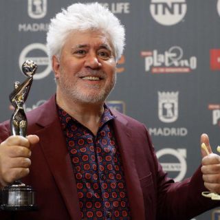 Pedro Almodóvar, Mejor Director de los Premios Platino por 'Julieta'