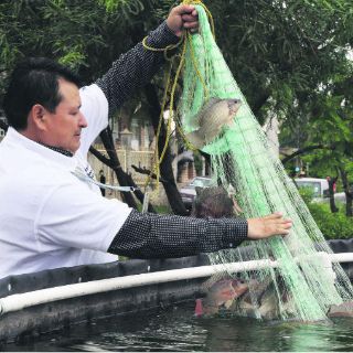 Apoyos a Laguna de Cajititlán comienzan a dar resultados