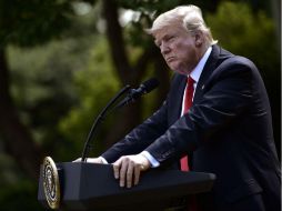 Donald Trump abordó en Twitter varios temas que le resultan incómodos. AFP / B. Smialowski