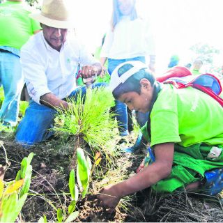 Celebran jornada de reforestación en Tlajomulco