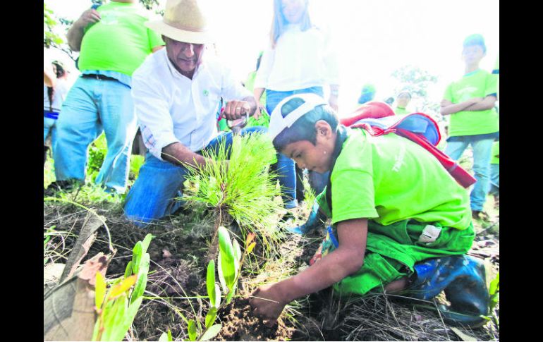 Los árboles se plantaron en nueve puntos del ayuntamiento. ESPECIAL /