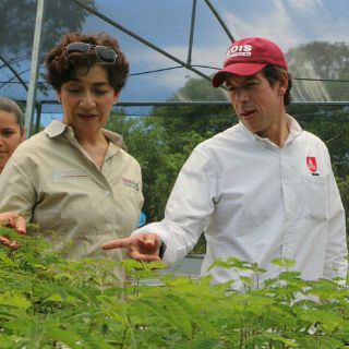 La Semadet hace frente a la deforestación y degradación forestal