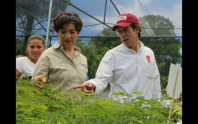 María Magdalena Ruiz Mejía y Miguel Castro Reynoso. TWITTER / @SEDISOCIAL