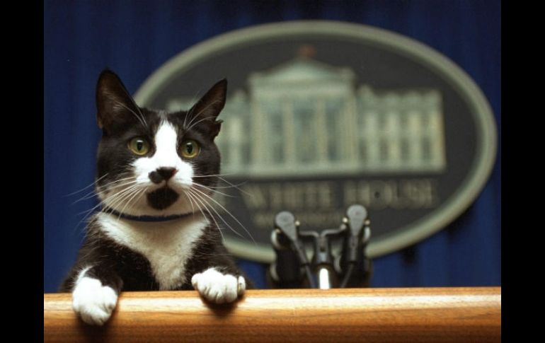 'En la presidencia moderna, casi todos han tenido una mascota', dijo Jennifer Pickens, autora de 'Mascotas en la Casa Blanca'. AP / ARCHIVO