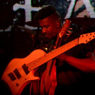 Animales progresivos en escena