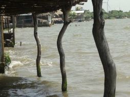 Se prevé que la fuerza de 'Hilary' aumente con rapidez en las próximas 48 horas. EFE / P. Rasgado