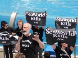 Cromwell participaba en una protesta de la organización animalista PETA. FACEBOOK / @official.peta