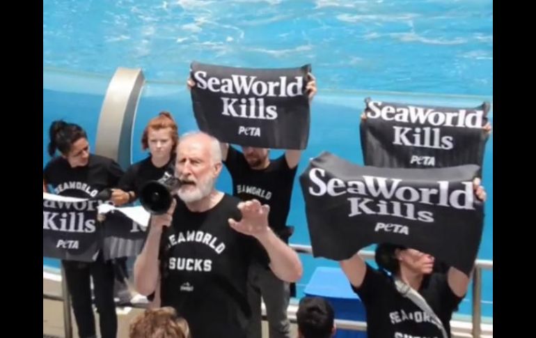 Cromwell participaba en una protesta de la organización animalista PETA. FACEBOOK / @official.peta