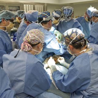 Trasplante renal pediátrico, vital para mil pacientes