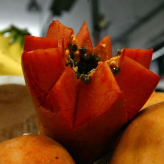 Relacionan papayas mexicanas con brote de salmonela en EU