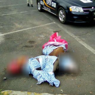 Investigan asesinato de perros pitbull en Coyoacán