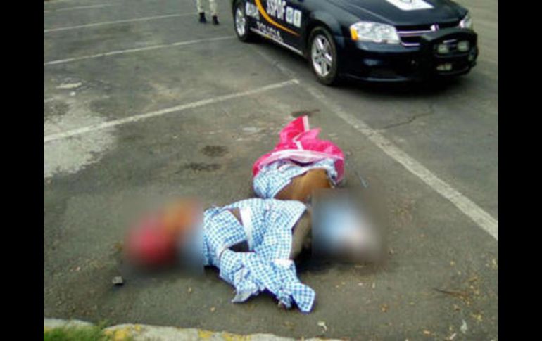 Los animales fueron encontrados muertos en la vía pública, con bolsas envueltas en sus cabezas. FACEBOOK / Mundo Patitas