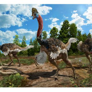 Hallan en China una nueva especie de dinosaurio
