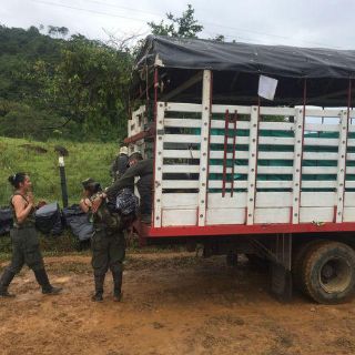 Colombia amplía el plazo para sacar las armas de campamentos FARC