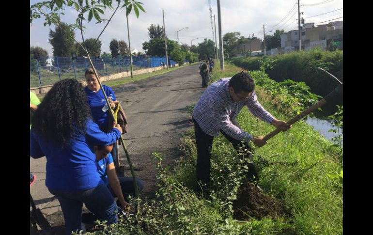 El proyecto continuará el próximo cuatrimestre con el fin de convertir el canal en un sendero que cuente la historia de los árboles. TWITTER / @SistemaUNIVA