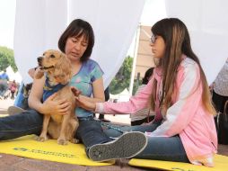 No faltan los deportistas, que buscando ‘un equilibro de sus energías’, aprovechan la sesión de Yoga-dog. NTX / G. Granados
