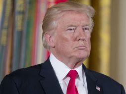 Trump defiende que, en su momento, no supo nada de esta reunión. EFE / M. Reynolds