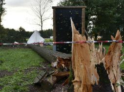 Vista del lugar donde una tienda de campaña fue destruída por la caída de dos árboles como consecuencia de los fuertes vientos. EFE / M. Eckert