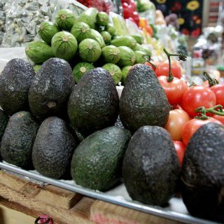 Jalisco avanza en diversificar sus exportaciones agrícolas: Seder