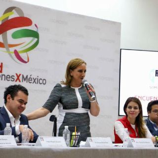 Asamblea decidirá requisitos para candidato al 2018: Ruiz Massieu