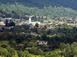 Este año se han reportado ante Profeco 64 casos de fraude en Jalisco. EL INFORMADOR / ARCHIVO