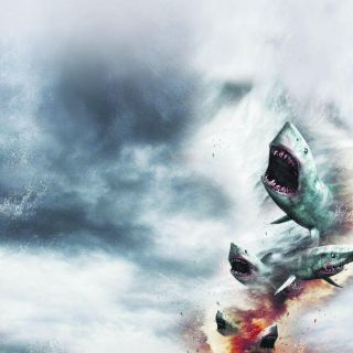¡Están lloviendo tiburones!