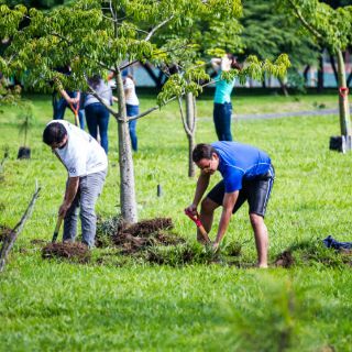 Extra A. C. planta 70 árboles en el Parque Metropolitano