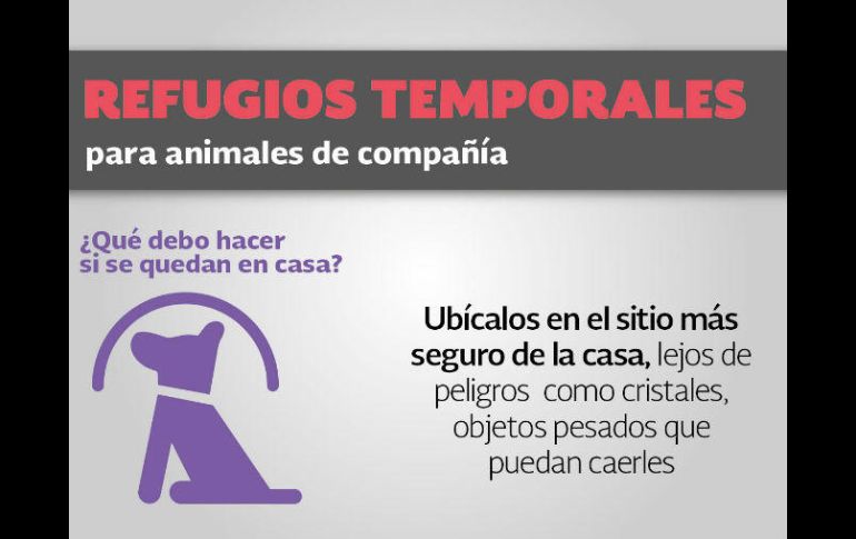 Ubicarlos lejos de cristales y objetos que puedan caerles, los protegerá de accidentes. ESPECIAL / cenapred