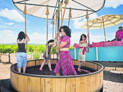 Querétaro es una potencia nacional en producción de vinos. ESPECIAL / Eme Media