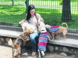 Convivencia. Merilyn Gómez dijo que hay denuncias en las que pudiera haber otros delitos que perseguir. EL INFORMADOR / A. Camacho