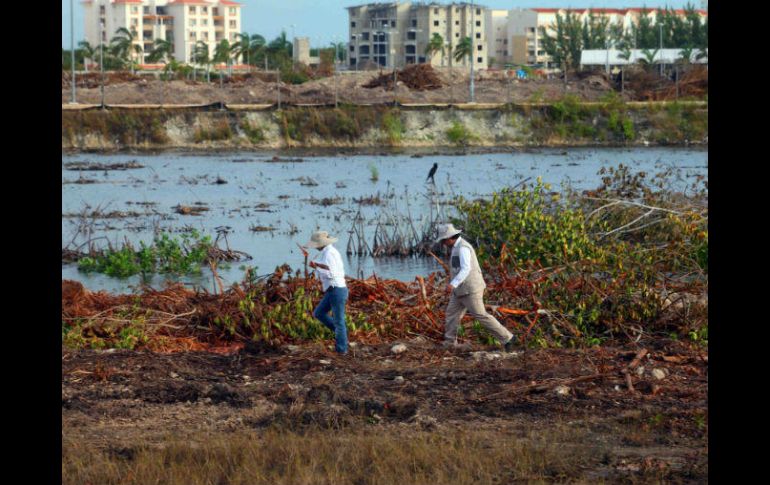 La autorización de Fonatur fue emitida en materia de impacto ambiental por la Semarnat para el Anteproyecto Malecón Cancún. SUN / ARCHIVO