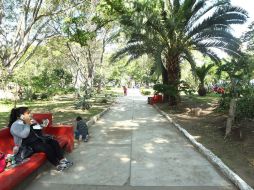 ''El Jardín Botánico tiene que recuperar su esplendor'', asegura el primer edil. EL INFORMADOR / E. Barrera