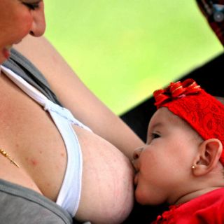 Datos curiosos sobre la lactancia