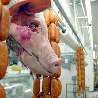 La carne de cerdo no es dañina: académica de la UNAM