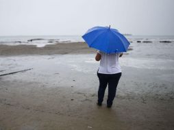 Las plataformas estarán disponibles para los sistemas operativos Android e iOS. AFP / V. Razo