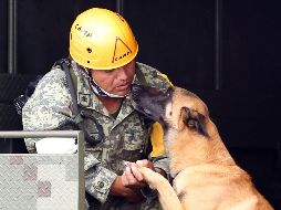 El centro de acopio que fue instalado en la sede de la Secretaría de Medio Ambiente y Recursos Naturales.