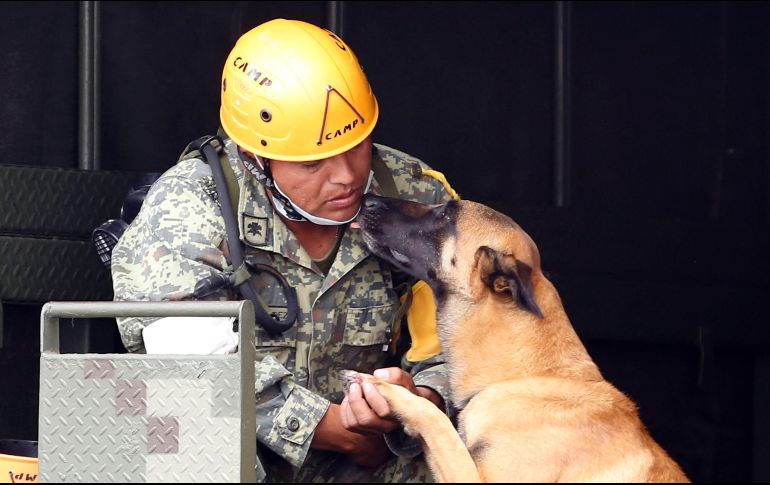 El centro de acopio que fue instalado en la sede de la Secretaría de Medio Ambiente y Recursos Naturales.