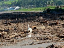 Las lluvias provocaron derrumbes en la ruta hacia el poblado El Coyul. AFP / ARCHIVO