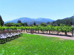 Folktale Winery. Un lugar para disfrutar de la vista y los viñedos. EL INFORMADOR / N. Gutiérrez