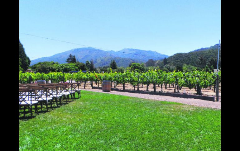 Folktale Winery. Un lugar para disfrutar de la vista y los viñedos. EL INFORMADOR / N. Gutiérrez