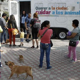 Con quirófanos móviles buscan aumentar esterilización de mascotas